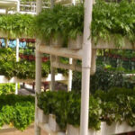 Hydroponic equipment suppliers in Ahmedabad