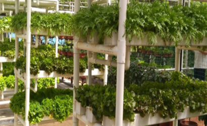Hydroponic equipment suppliers in Ahmedabad